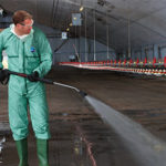 Master the tips of chicken house disinfection for cleaning chicken living standard.