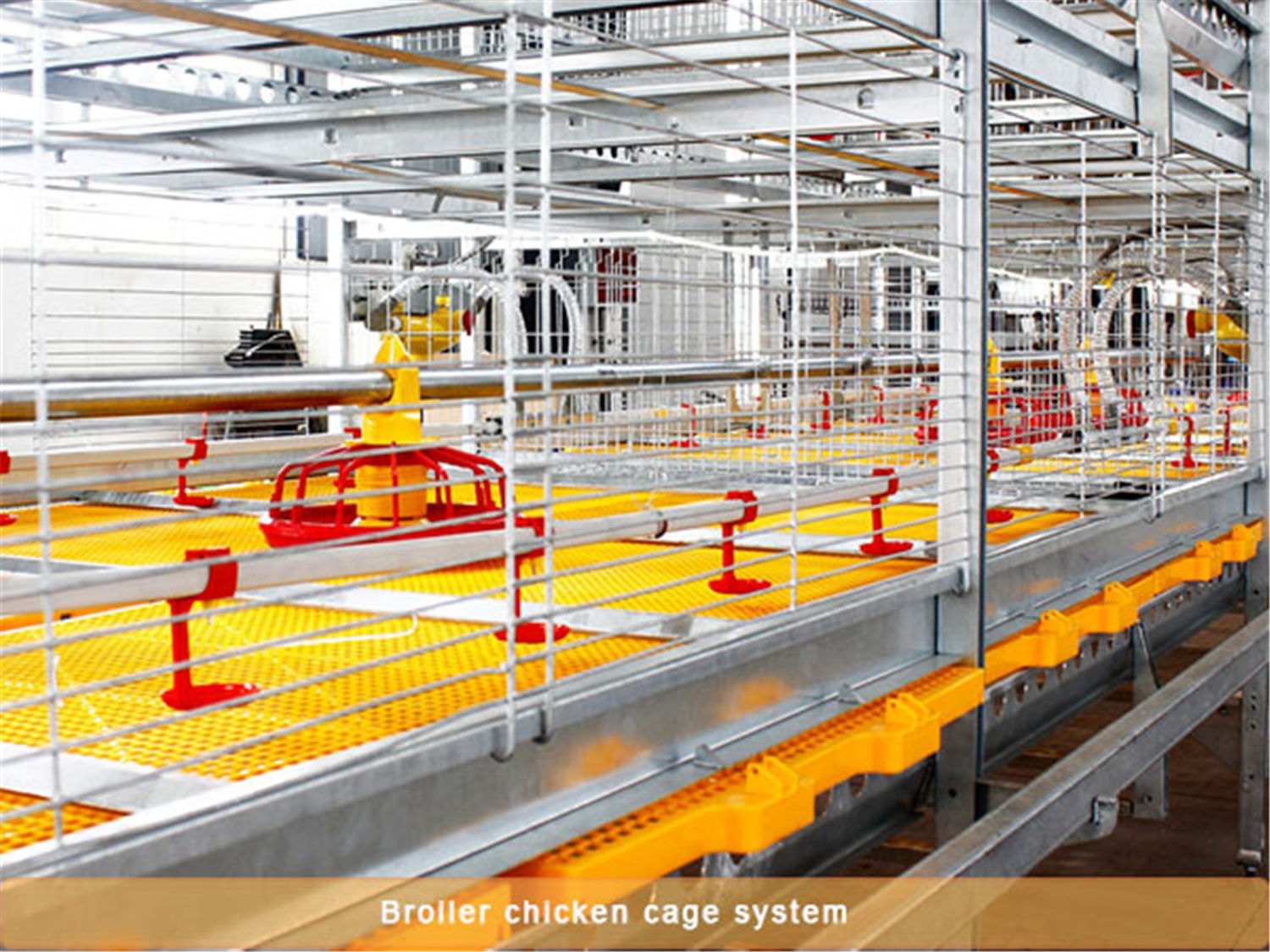 Temperature and Humidity Control in Chicken Farms on Chicken Farms